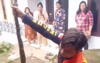 EVAKUASI: Sejumlah petugas BPBD Kota Sukabumi saat melakukan evakuasi ular di rumah warga Cileles RT1/13, Kelurahan Cisarua, Kecamatan Cikole, Kamis (30/1). 