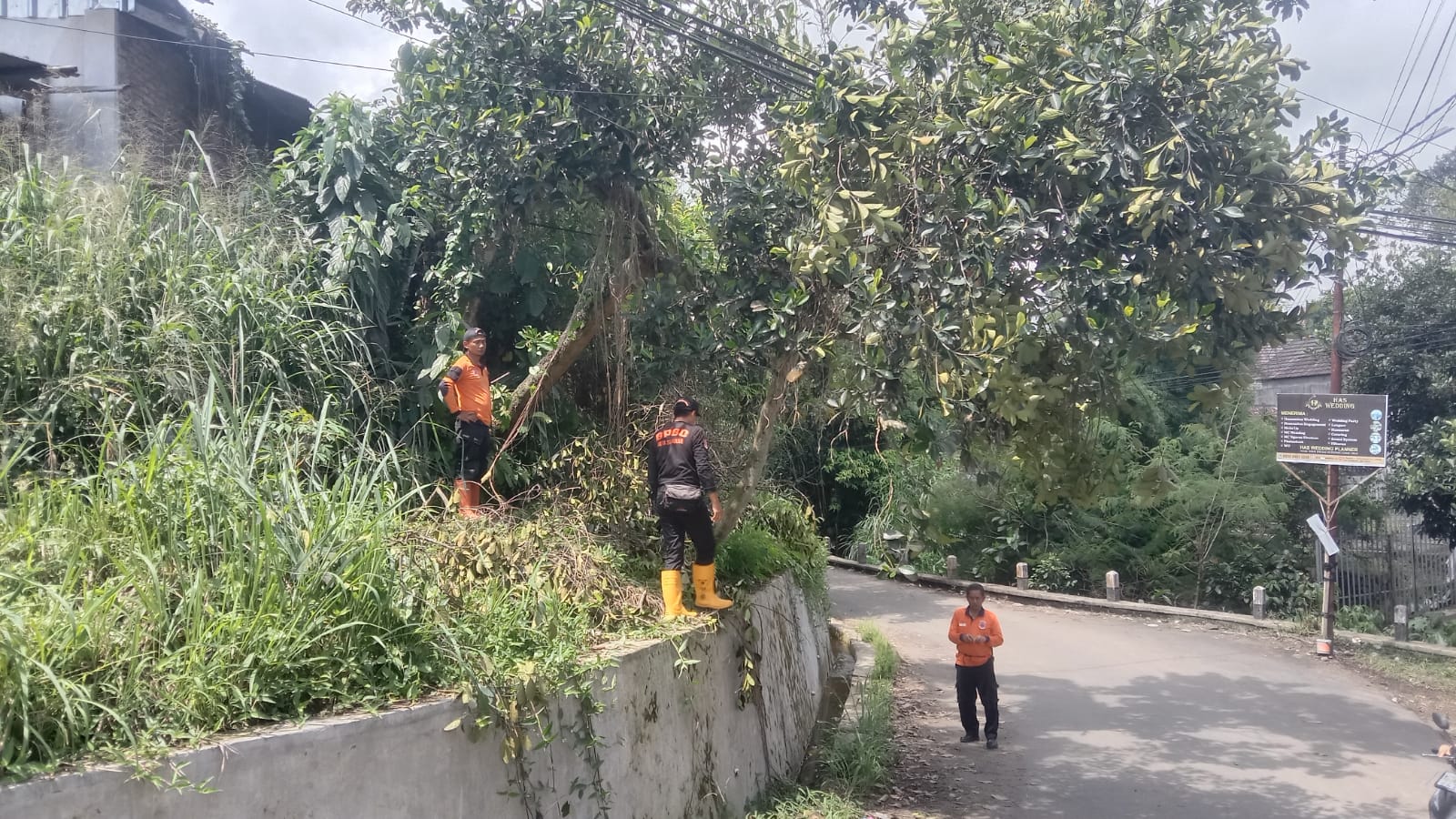 MITIGASI: Sejumlah personel BPBD Kota Sukabumi saat melakukan mitigasi bencana bohon tumbang di Jalan Subang Wetan RT7/RW5, Kelurahan Subangjaya, Kecamatan Cikole, Jumat (24/1).(FT: IST)