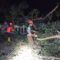 EVAKUASI POHON TUMBANG: Sejumlah petugas BPBD Kota Sukabumi saat mengevakuasi pohon tumbang di Jalan Taman Bahagia, Kelurahan Benteng, Kecamatan Warudoyong, Kamis (30/1). (FT: IST)