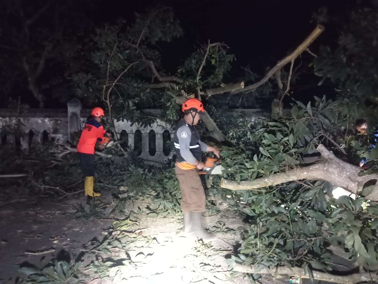 EVAKUASI POHON TUMBANG: Sejumlah petugas BPBD Kota Sukabumi saat mengevakuasi pohon tumbang di Jalan Taman Bahagia, Kelurahan Benteng, Kecamatan Warudoyong, Kamis (30/1). (FT: IST)
