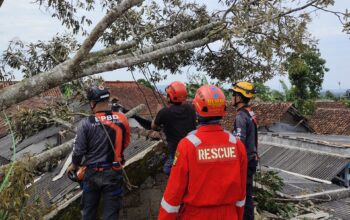 DIEVAKUASI : Petugas P2BK saat mengevakuasi pohon yang menimpa rumah warga terdampak bencana angin kencang di salah satu kecamatan yang ada di Kabupaten Sukabumi pada Kamis (30/01).(FOTO : UNTUK RADAR SUKABUMI)