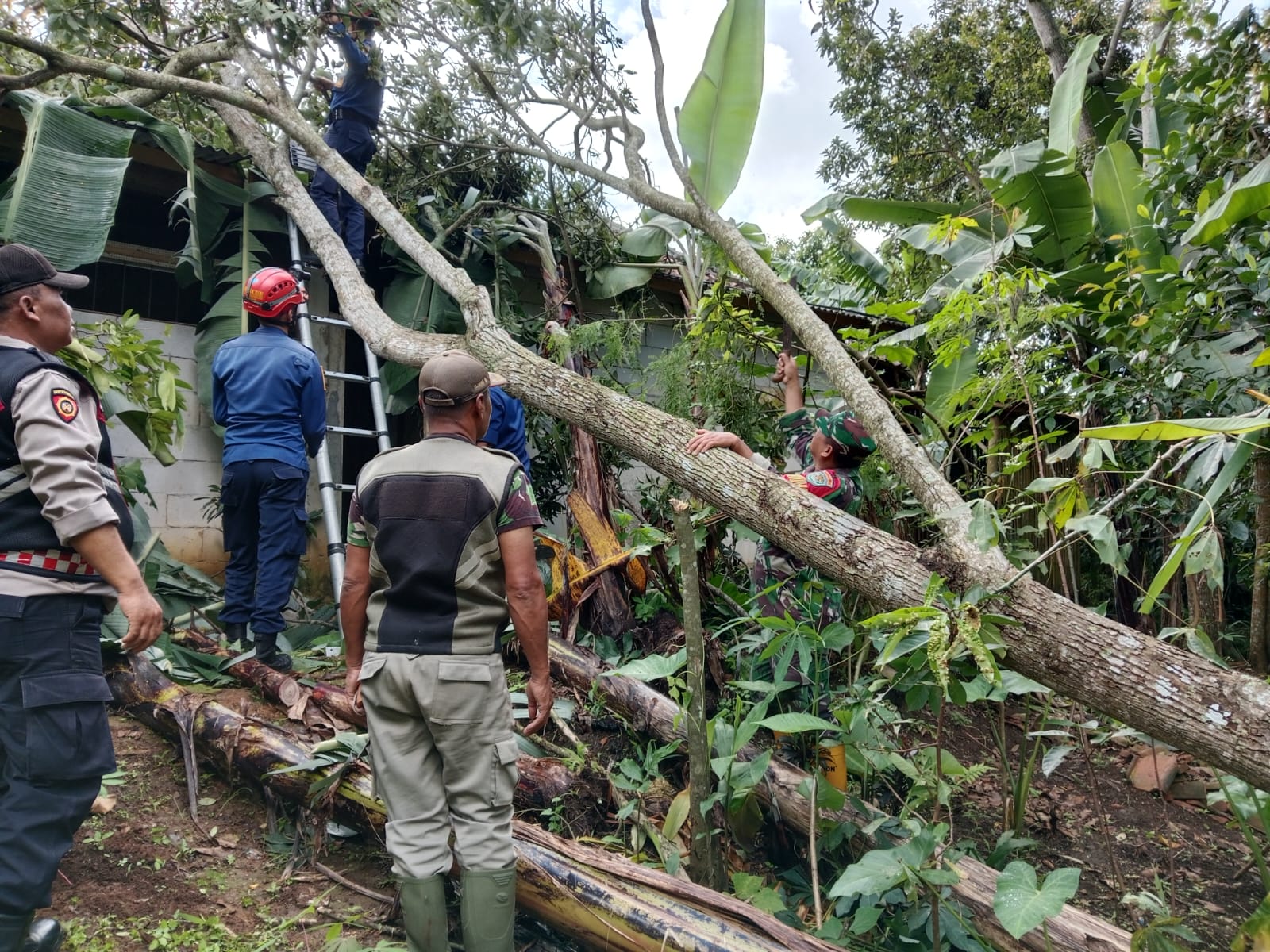 Telah terjadi kejadian pohon tumbang di wilayah Kecamatan Parakansalak, Kabupaten Sukabumi Pada Sabtu, 25 Januari 2025. Kejadian ini diakibatkan oleh angin kencang