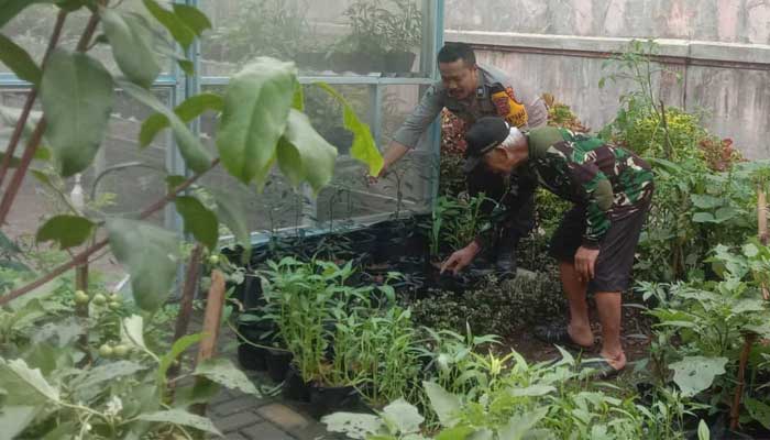 AIPTU Rizki Triadi
