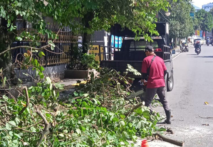 PEMANGKASAN: Sejumlah personel DPUTR Kota Sukabumi saat melakukan pemangkasan pohon di Jalan Suryakencana, Kecamatan Cikole, Kamis (2/1). (FT: BAMBANG/RADARSUKABUMI)