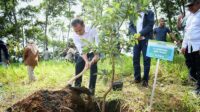 Awal 2025, Pj Gubernur Jabar Melakukan Penanaman Bibit Pohon Produktif: Program CSR Bersama PT AI