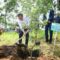 Pj Gubernur Jabar Tanam Pohon