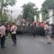 Pohon Tumbang Sukabumi