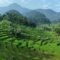 Star Energy Geothermal Salak