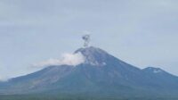 Potret Gunung Semeru Erupsi Setinggi 900 meter
