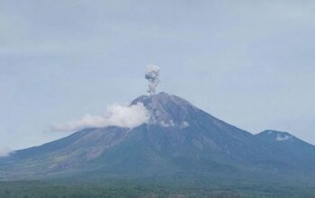 Gunung Semeru erupsi dengan tinggi letusan 900 meter di atas puncak pada Rabu (15/1/2025) pukul 07.48 WIB. 