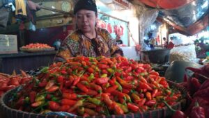 Harga Cabai Rawit Melonjak di Sukabumi, Emak-emak Kelimpungan Cari Alternatif Sambal