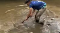 Petugas DPUTR Kota Sukabumi Sapu Bersih Sedimen dan Sampah  