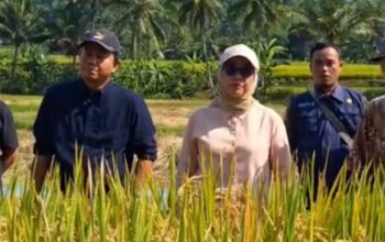 dinas Pertanian Kabupaten Sukabumi