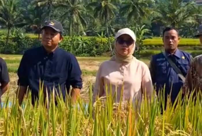 dinas Pertanian Kabupaten Sukabumi