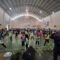 Ikatan Guru Olahraga Nasional (IGORNAS) menggelar pelatihan Senam Anak Indonesia Hebat dalam rangka mendukung program Kementerian Pendidikan Dasar dan Menengah terkait tujuh kebiasaan anak Indonesia, salah satunya adalah rajin berolahraga.(FOTO : dok/radarsukabumi)