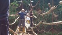 Potret Warga Kebonpedes dan Gegerbitung Perbaiki Jembatan  dengan Swadya 