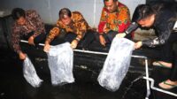 Lapas Sukabumi Tebar 3.500 Benih Lele, Wujudkan Program Ketahanan Pangan