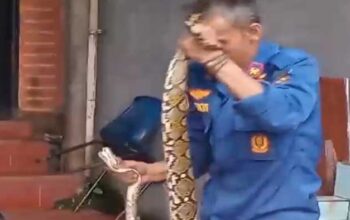 Tim Animal Rescue Damkar Sukabumi