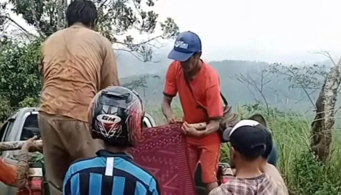 Detik-detik Empat Petani Sukabumi Tersambar Petir, Dua Tewas, Dua Kritis