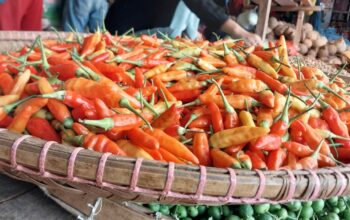 Suasana para pedagang di pasar semi modern Palabuhanratu, kabupaten Sukabumi.(FOTO : NANDI/ RADARSUKABUMI)
