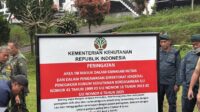Buntut Banjir di Bogor, Bekasi, dan Jakarta, Sejumlah Bangunan Ditertibkan, Perubahan Tutupan di Hulu Sungai