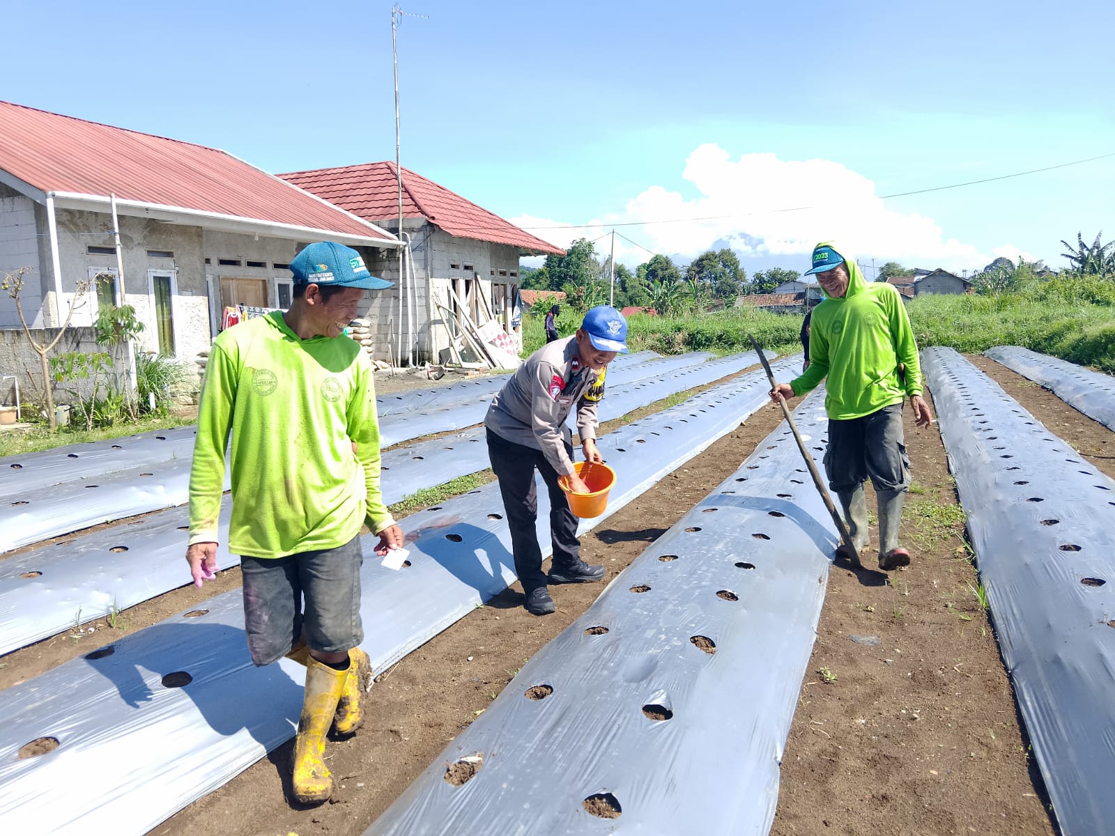 Jaga Ketahanan Pangan, Polsek Cibadak Dampingi Penanaman Bibit Timun