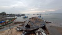 Dibalik Pembangunan Alun–alun Gadobangkong Hanya 4 Bulan, Gagal Lelang Dua kali, Rusak Dihajar Alam