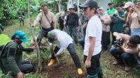 Bupati Purwakarta Tanam 1000 Bibit Pohon di Leuweung Tiis, Om Zein: Kita Suka Menebang, Lupa Menanam
