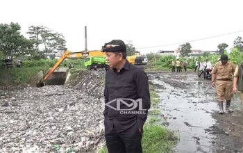 Dedi mulyadi citarum