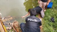 Tragis! Mayat Bayi Ditemukan Terapung di Kolam Ikan Milik Warga Cisaat