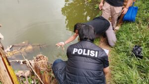 Tragis! Mayat Bayi Ditemukan Terapung di Kolam Ikan Milik Warga Cisaat