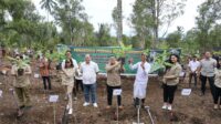 Pemanfaatan Tanah Ulayat: Wamen ATR/BPN Tanam Pisang Cavendish di Jembrana, Bali