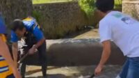 DPUTR Kota Sukabumi Gencar Pemeliharaan Bendung Tonjong