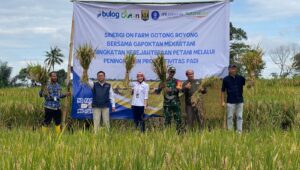 Rencana Bulog Siap Beli Gabah Langsung dari Petani Kebonpedes