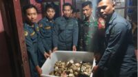 Dua Pelaku Perdagangan Tubuh Satwa Dilindungi Ditangkap di Sukabumi