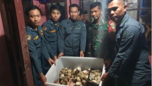 Dua Pelaku Perdagangan Tubuh Satwa Dilindungi Ditangkap di Sukabumi