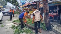 Pesan BPBD dan DPUTR Kota Sukabumi Pangkas Pohon Rawan Tumbang