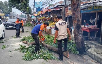 PEMANGKASAN: Sejumlah personel BPBD dan DPUTR Kota Sukabumi saat melakukan pemangkasan pohon rawan tumbang di Jalan RA Kosasih, Kelurahan Subangjaya, Kecamatan Cikole, Selasa (4/3). (ist)
