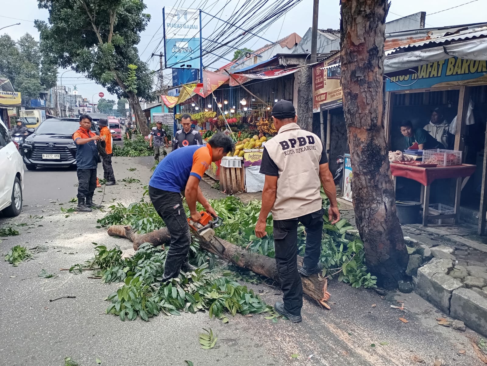 PEMANGKASAN: Sejumlah personel BPBD dan DPUTR Kota Sukabumi saat melakukan pemangkasan pohon rawan tumbang di Jalan RA Kosasih, Kelurahan Subangjaya, Kecamatan Cikole, Selasa (4/3). (ist)