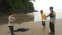 Ciri-ciri  Mayat Pria Ditemukan Tergeletak di Pinggir Pantai Kebon Kalapa Cisolok