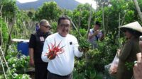 Hari Bumi Sedunia, Bupati Sukabumi Tanam Pohon di Bukit Kurma Baruajol