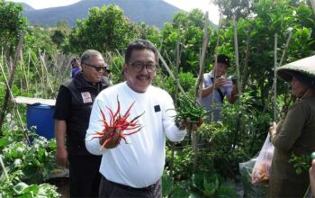 Bupati Sukabumi Tanam Pohon