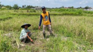 70 Hektare Lahan Pertanian di Desa Karangtengah Gagal Panen Gara-gara Irigasi Jebol