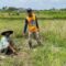 TERLANTAR : Ketua Mitra Air Desa Ciheulang Tonggoh, Dedi (45) bersama petani, saat menunjukan lahan pertanian yang terlantar akibat tidak teraliri air di Kampung Kamandoran, RW 10 Desa Karangtengah, Kecamatan Cibadak, Kabupaten Sukabumi pada Selasa (08/04).(FOTO : UNTUK RADAR SUKABUMI)