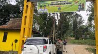 Jumlah Pengunjung Pondok Halimun Sukabumi Meningkat, Akses Jalan Jadi Tantangan