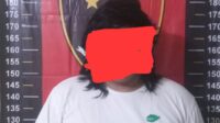 Tanam Ganja di Kamar, Mahasiswa Bekasi Ditangkap Polisi