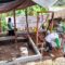 Badan Amil Zakat Nasional (BAZNAS) telah melaksanakan giat perbaikan rumah yang kondisinya sudah tidak layak huni di wilayah Kabupaten Sukabumi, Jawa Barat, Minggu (16/3/2025).