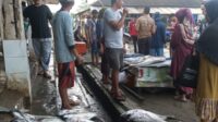 Janji Diskan Kabupaten Sukabumi  Lakukan Penataan TPI Palampang Ciemas Sukabumi