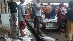 Janji Diskan Kabupaten Sukabumi  Lakukan Penataan TPI Palampang Ciemas Sukabumi