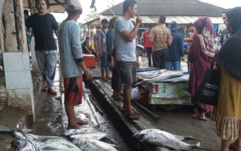 Aktivitas para pedagang di TPI Palangpang, Desa Ciwaru, Kecamatan Ciemas Kabupaten Sukabumi berjualan ikan.(FOTO : NANDI/ RADARSUKABUMI.)